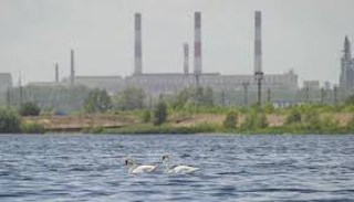 Расчет платы за негативное воздействие на окружающую среду от 20242 руб. | ПромМир