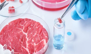 Лабораторный анализ пищевых продуктов по СанПиН в Чайковском в октябре