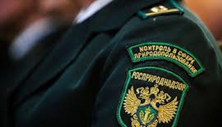 Подготовка к проверке Росприроднадзора в Чайковском от ПромМир, стоимость услуги от 20242 руб.